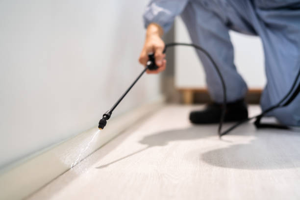 Licensed Pest Control service in New Llano, LA - Show Me Pest Control