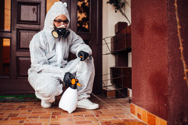 Attic and Crawl Space Rodent Treatment in New Llano